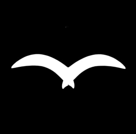 SkySoar Technologies logo