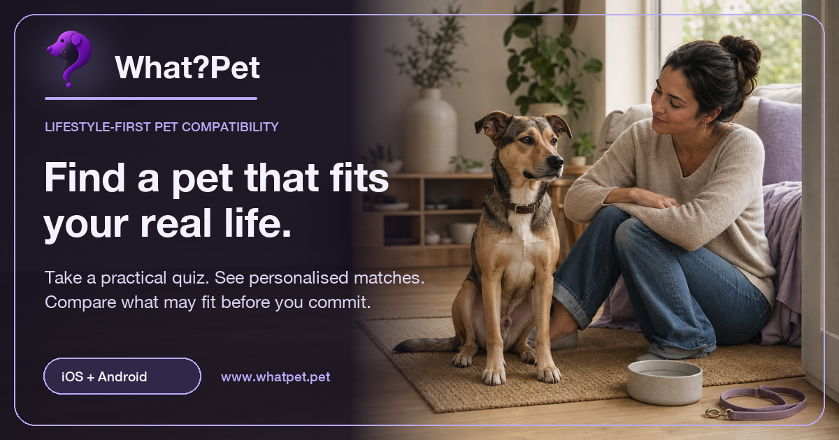 What?Pet preview